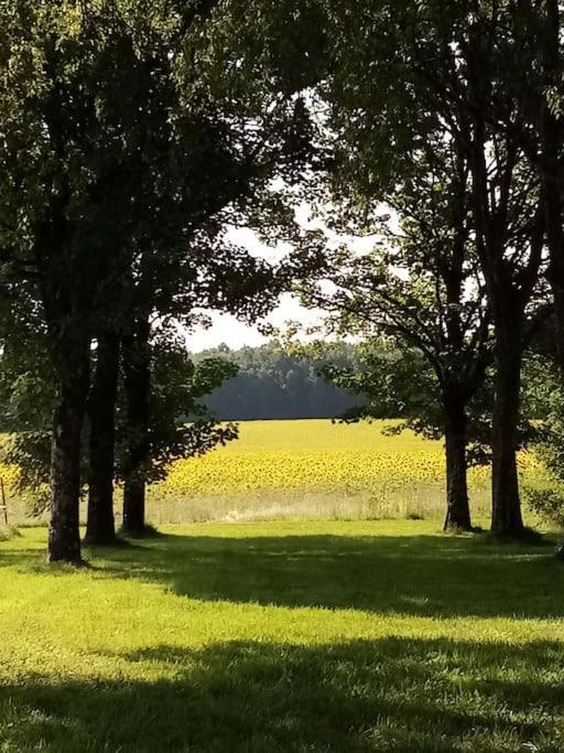 As Seen On A New Life In The Sun - Beautiful 3 Bedroom Cottage With Shared Pool Montboyer Экстерьер фото